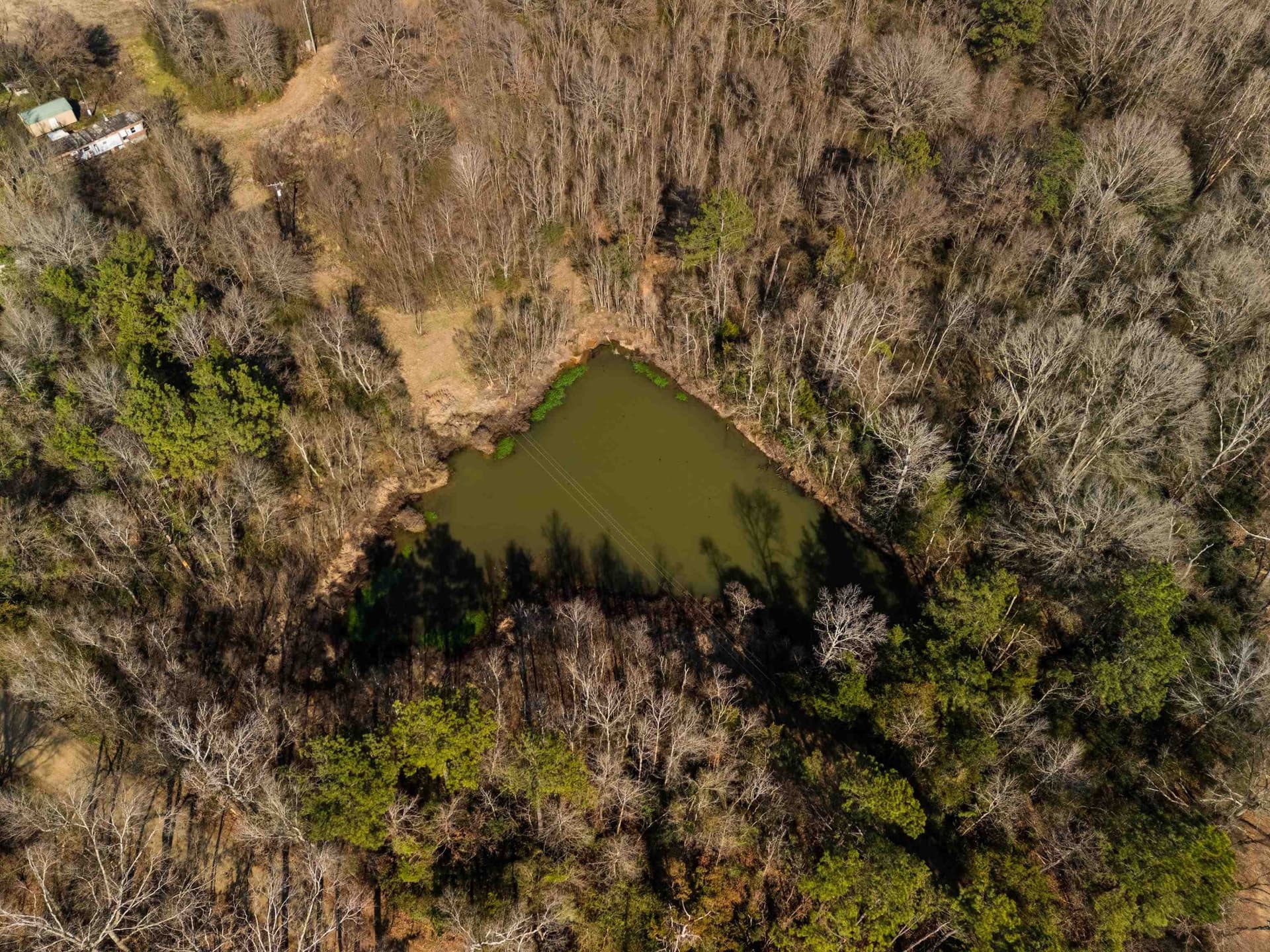 24 acres in Shelby County - photo 26
