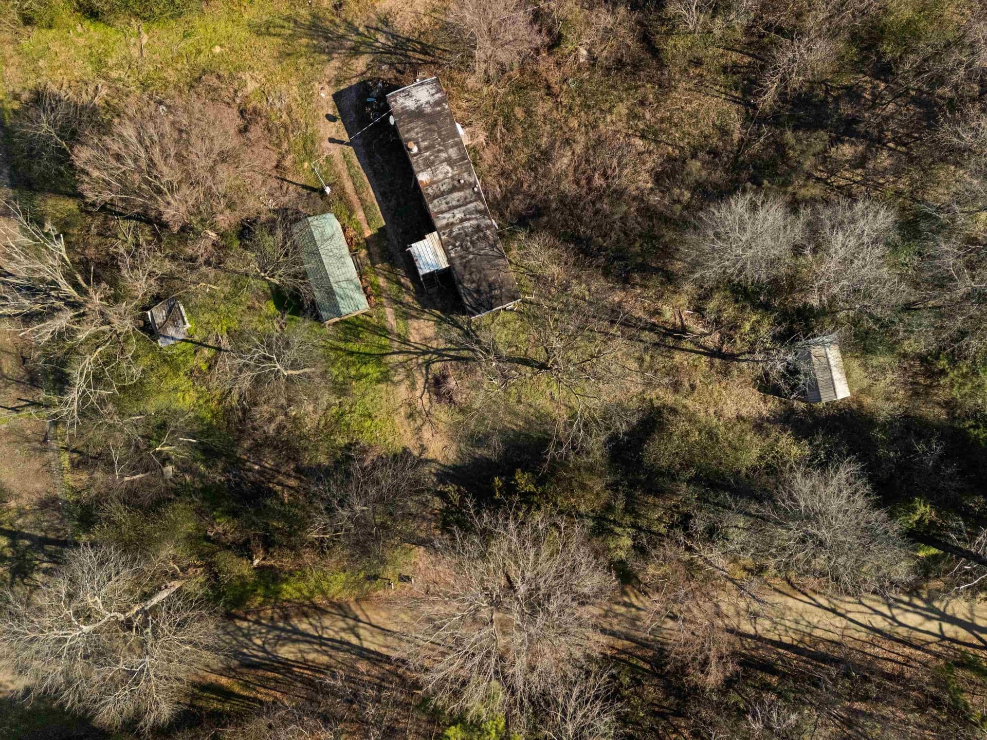 24 acres in Shelby County - photo 22
