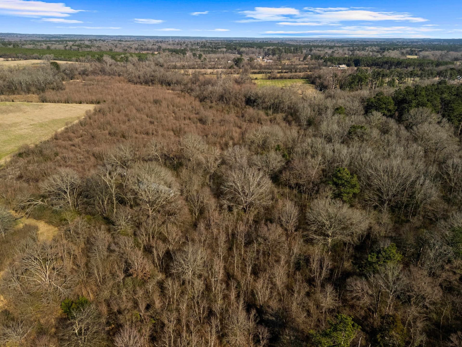 24 acres in Shelby County - photo 24