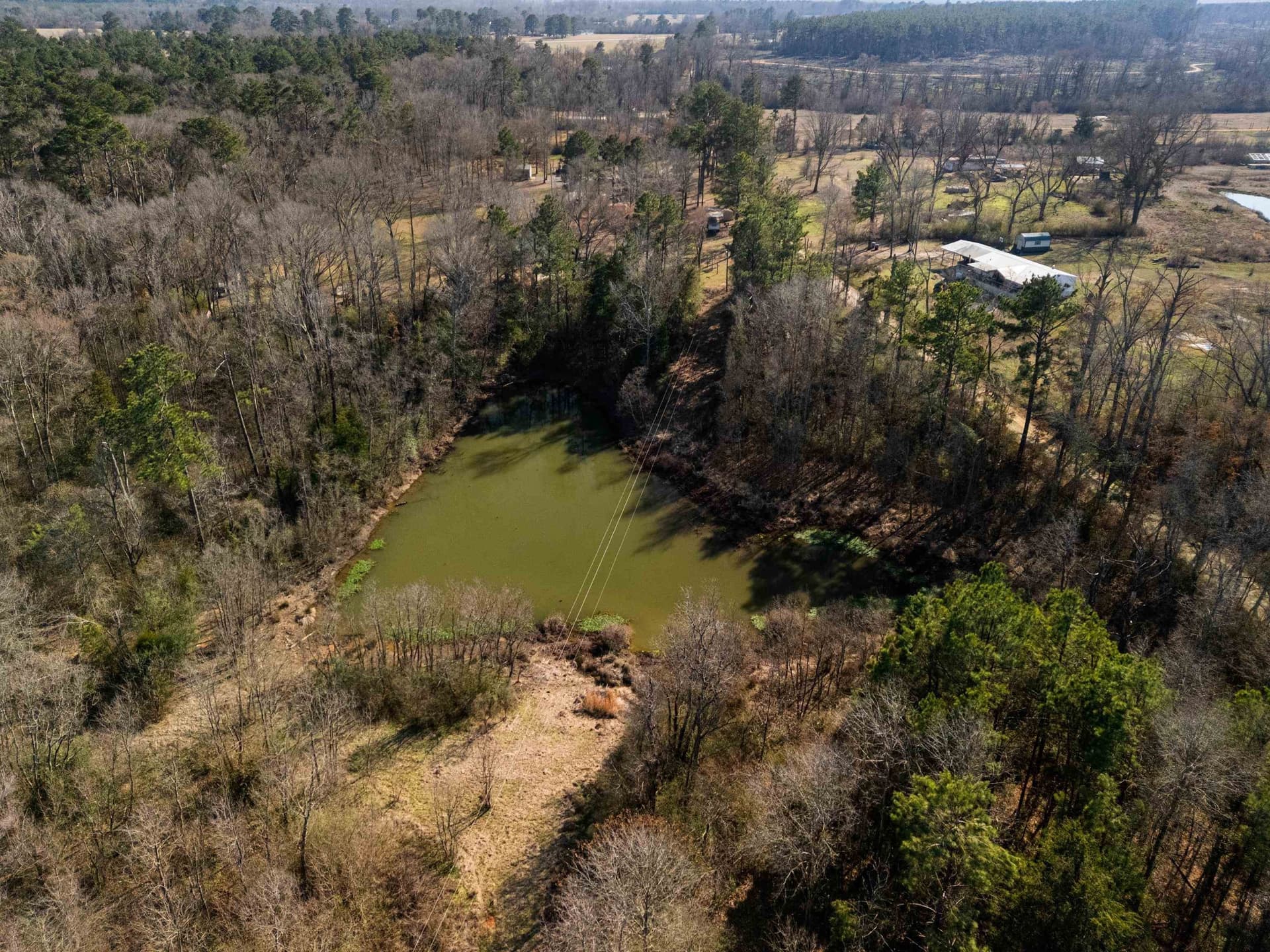24 acres in Shelby County - photo 19