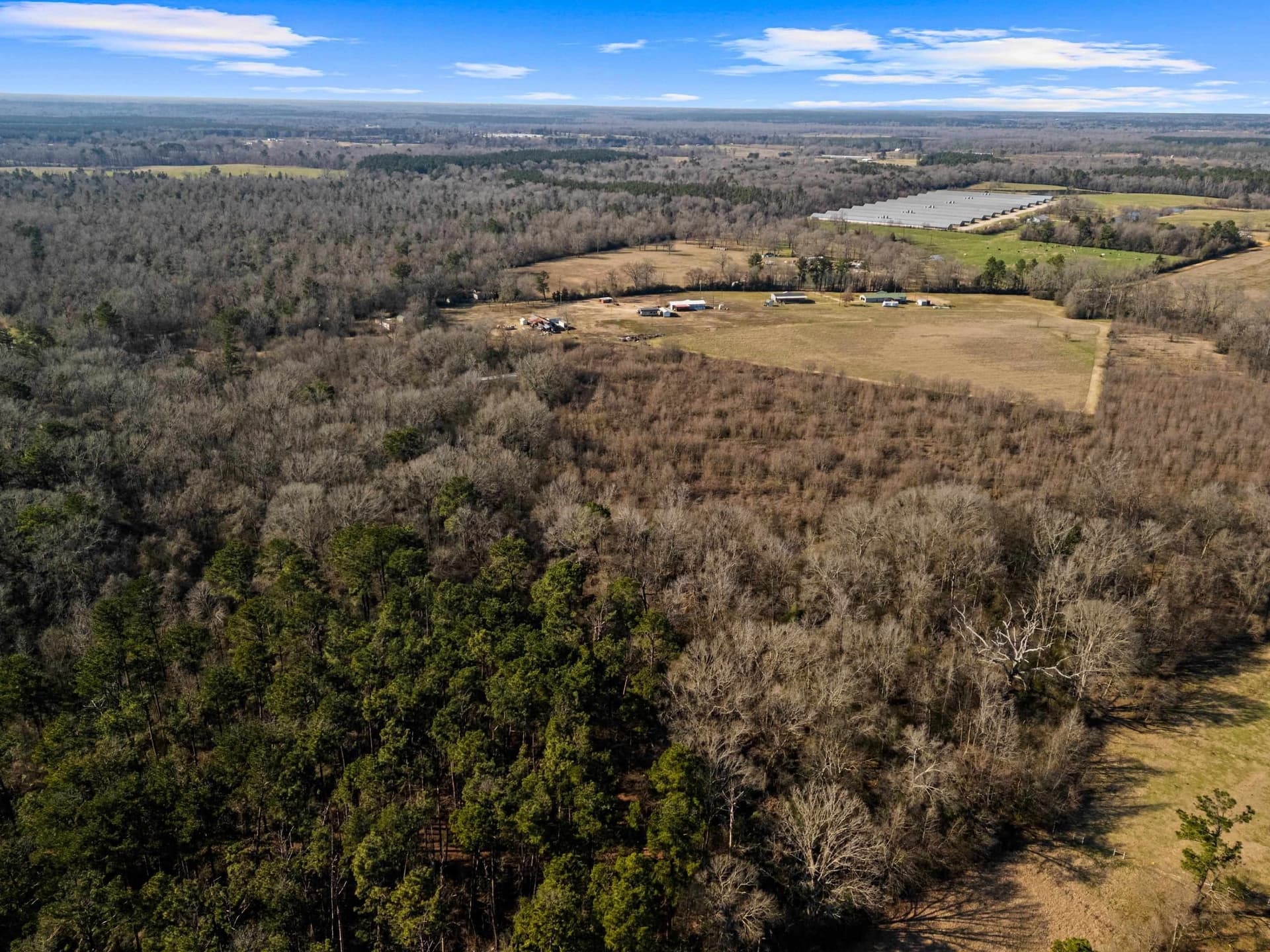 24 acres in Shelby County - photo 21