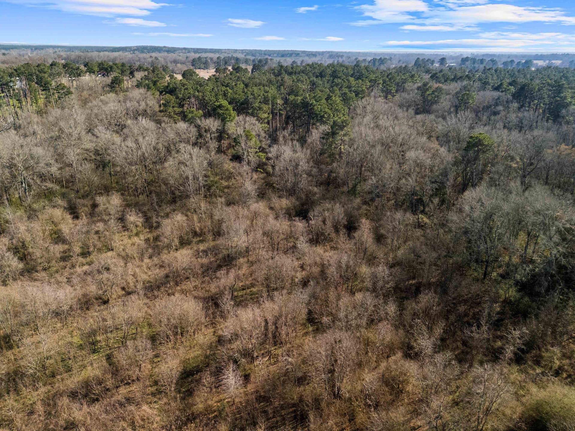 24 acres in Shelby County - photo 20