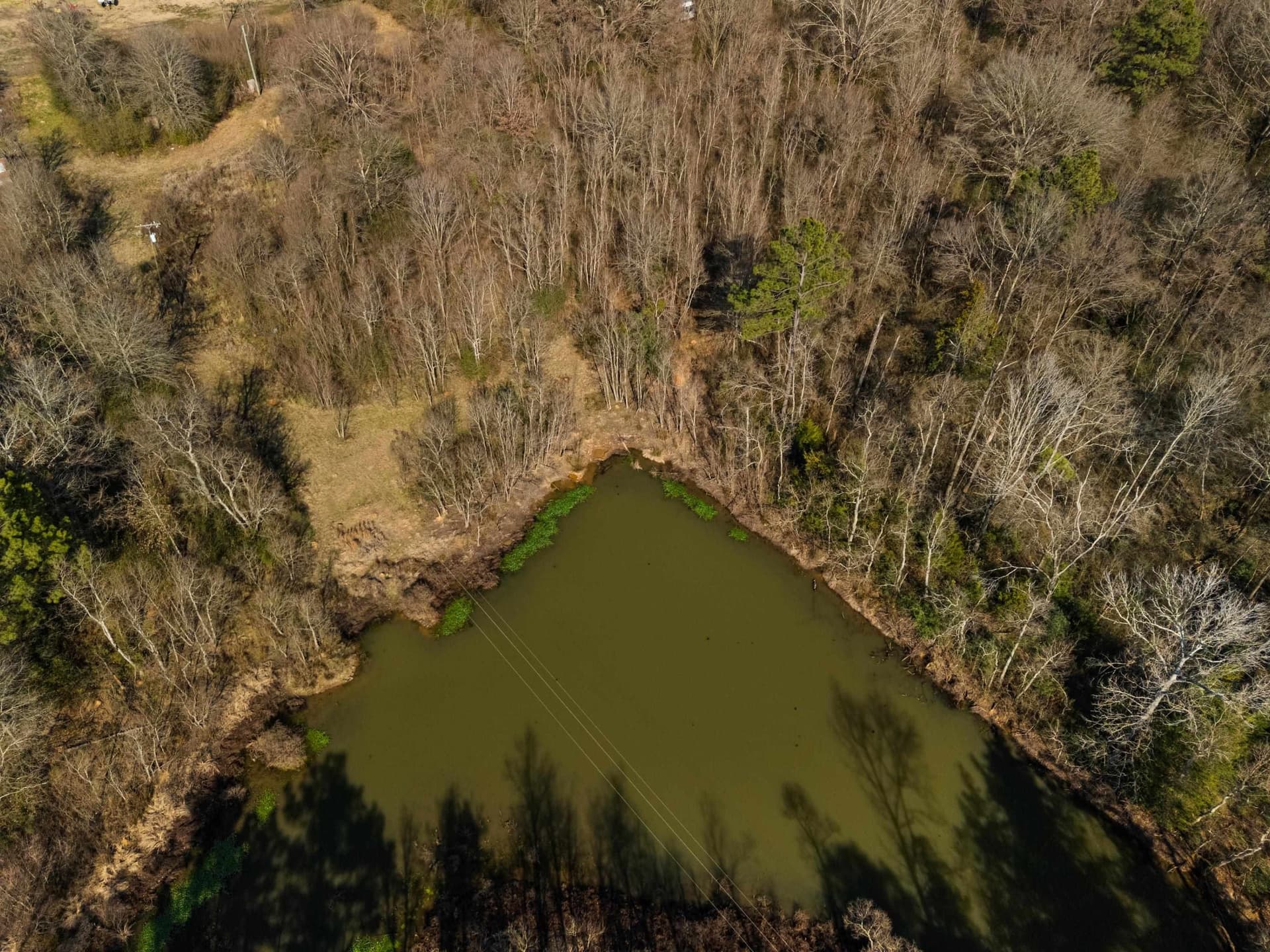 24 acres in Shelby County - photo 25