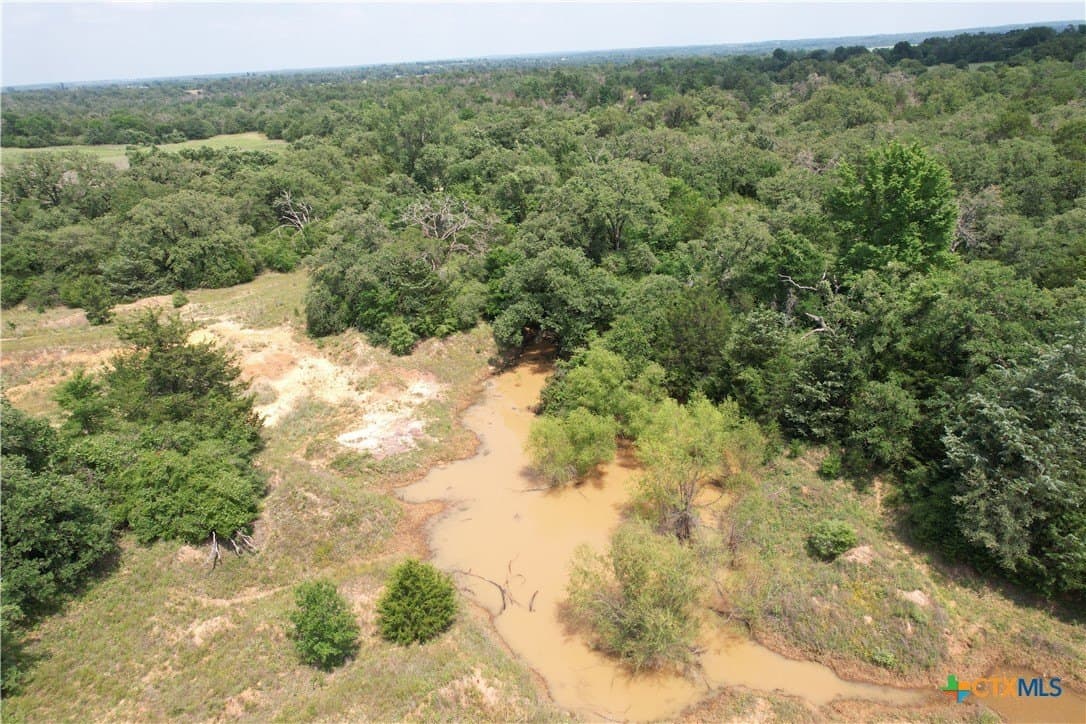 24.5 acres in Milam County - photo 7
