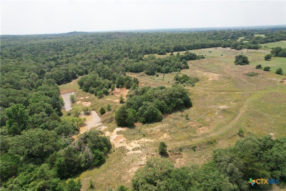 24.5 acres in Milam County - photo 8