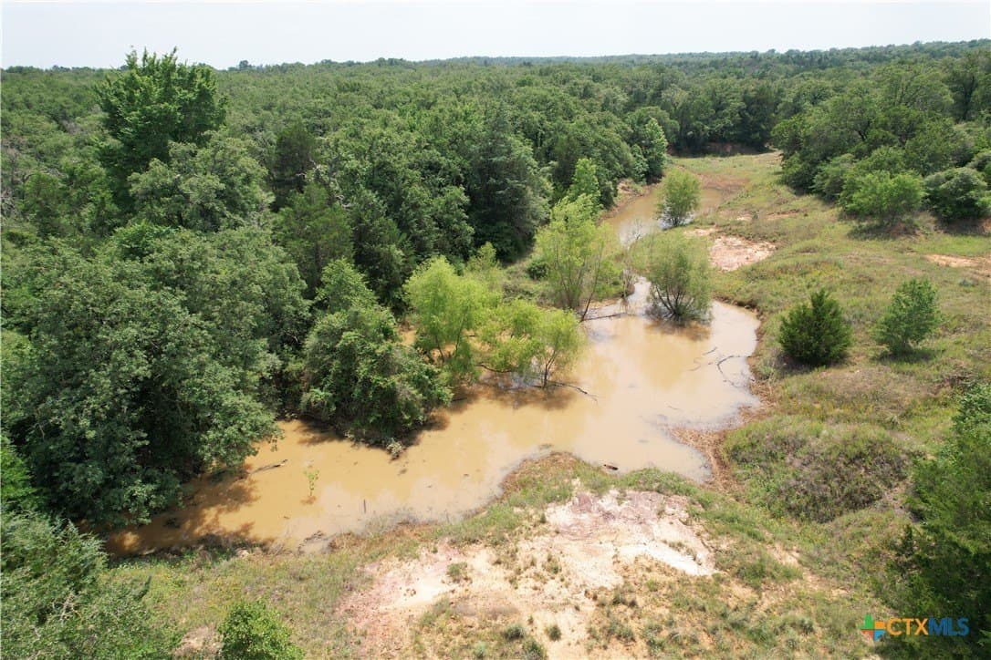 24.5 acres in Milam County - photo 5