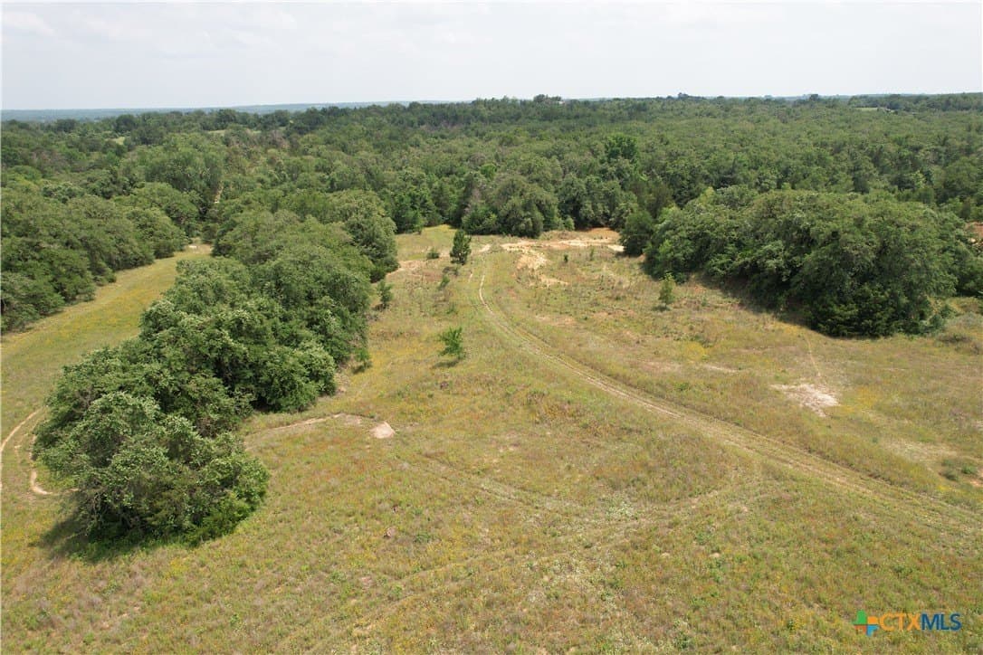 24.5 acres in Milam County - photo 3