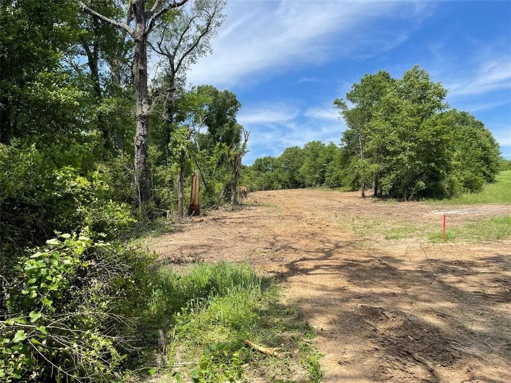 1 acres in Freestone County - photo 7