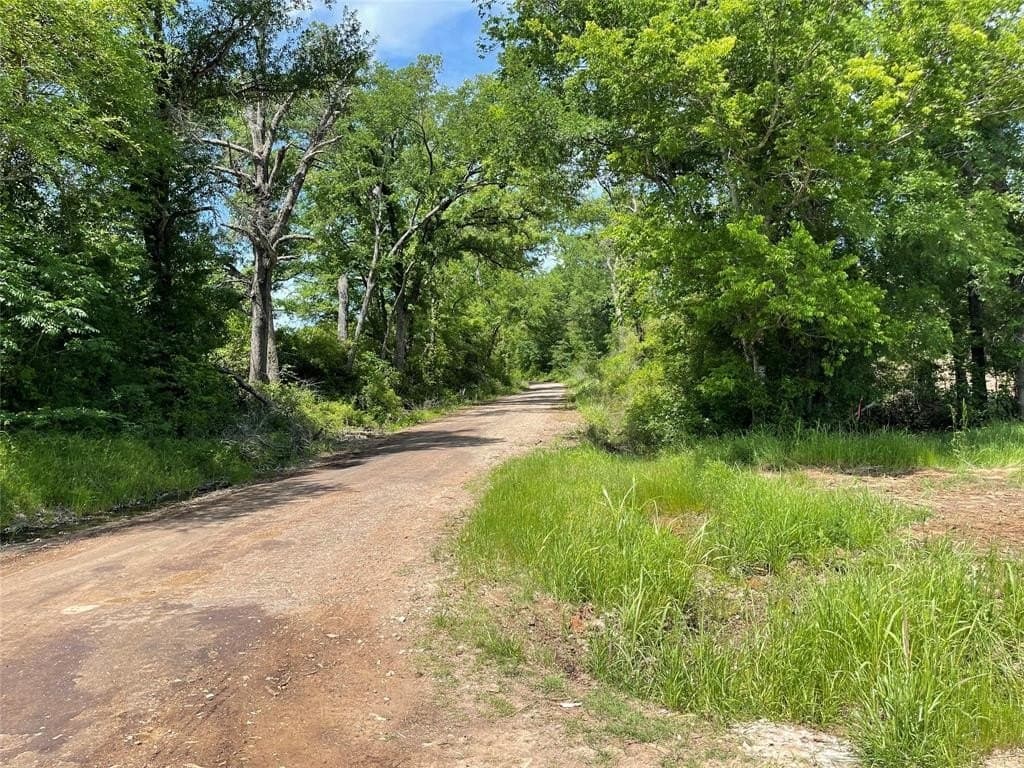 1 acres in Freestone County - photo 4