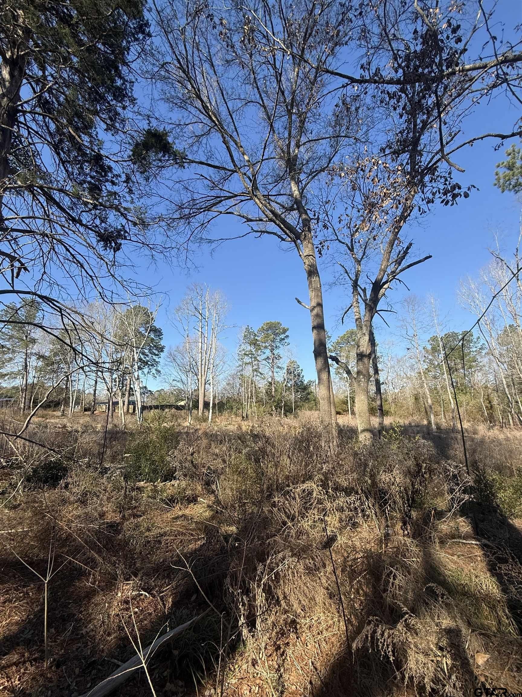 2.77 acres in Rusk County - photo 3