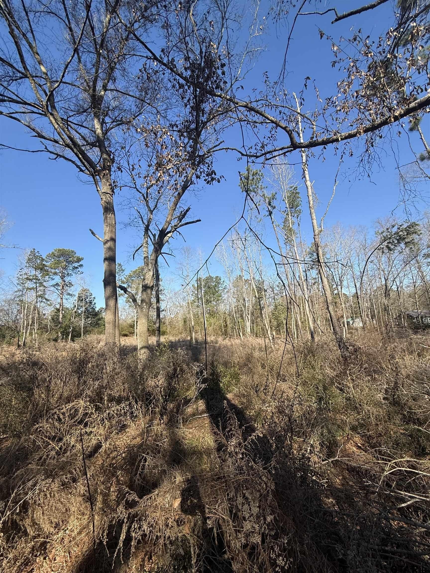 2.77 acres in Rusk County - photo 4