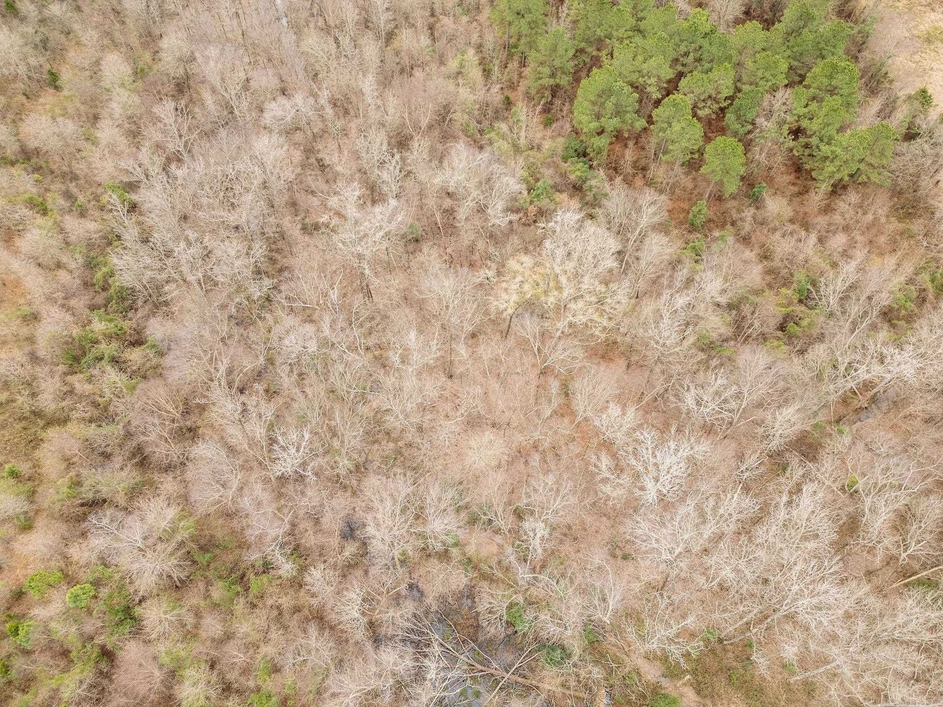 10 acres in Texas County - photo 6