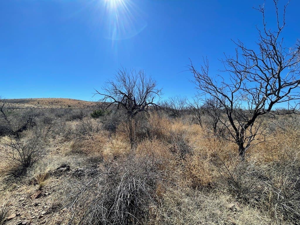 2 acres in Brewster County - photo 3