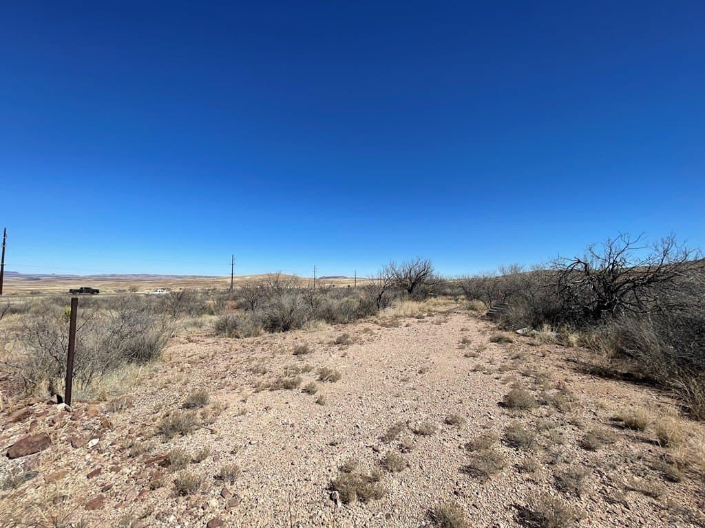 2 acres in Brewster County - photo 2