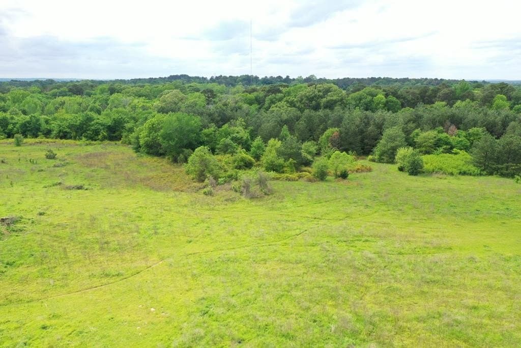 17 acres in CHEROKEE County - photo 4
