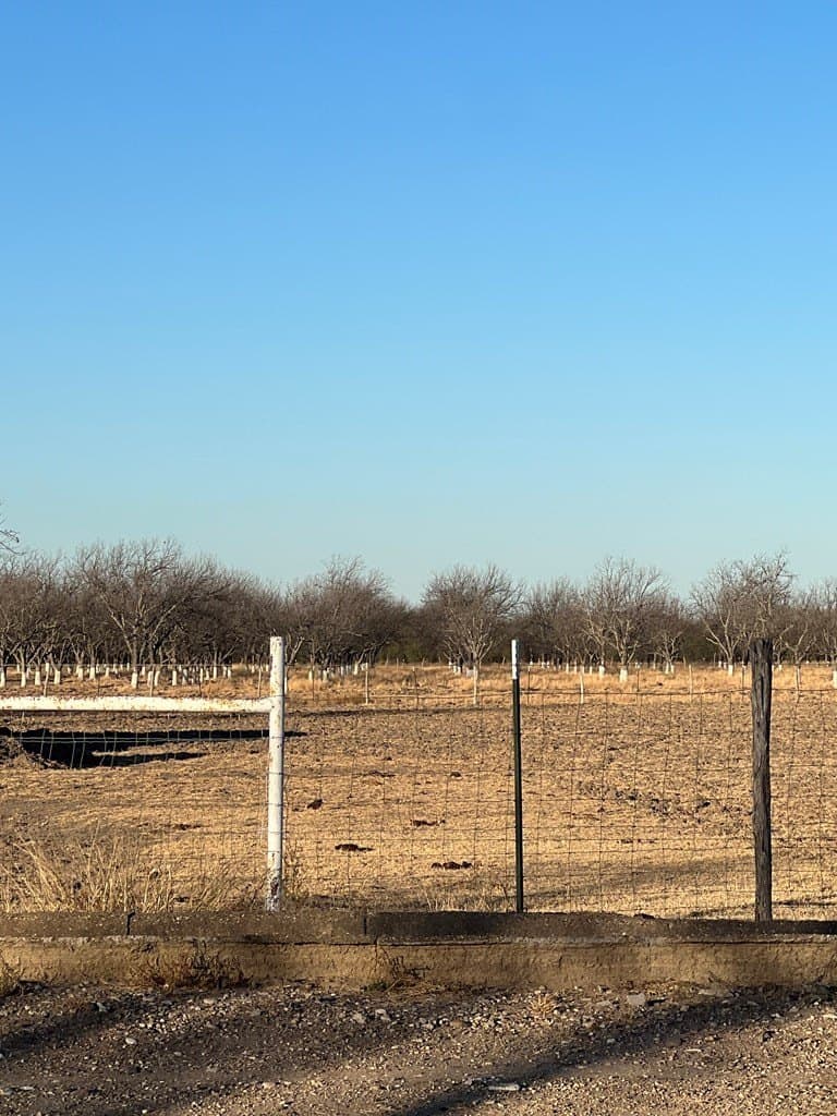 10 acres in Maverick County - photo 3