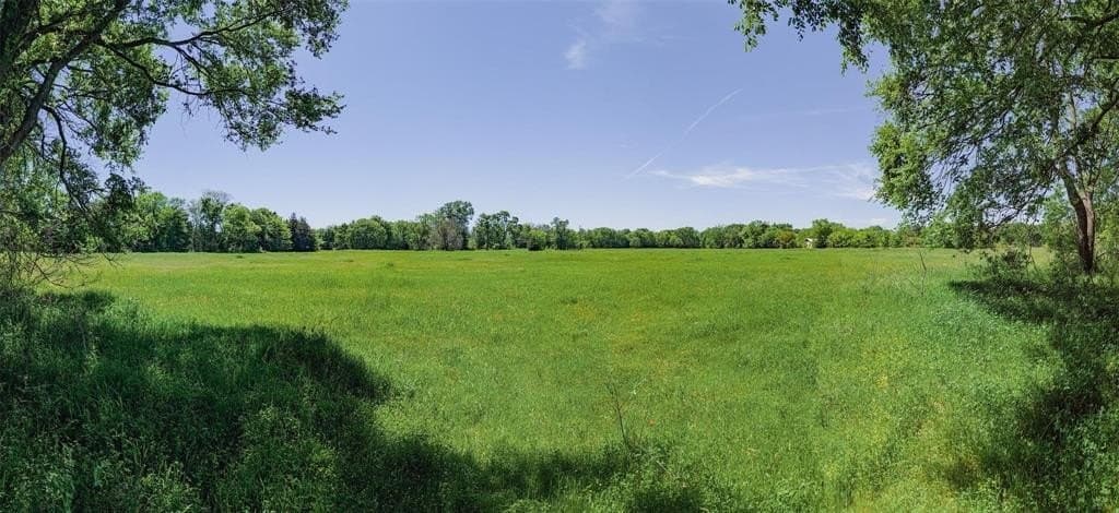 73.56 acres in Henderson County - photo 10