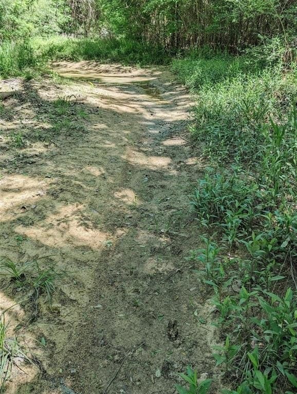 73.56 acres in Henderson County - photo 11