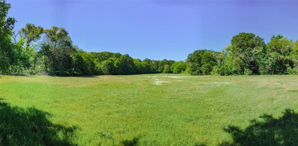 73.56 acres in Henderson County - photo 15