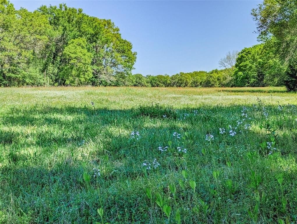 73.56 acres in Henderson County - photo 12