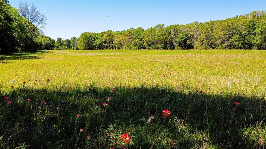 73.56 acres in Henderson County - photo 13
