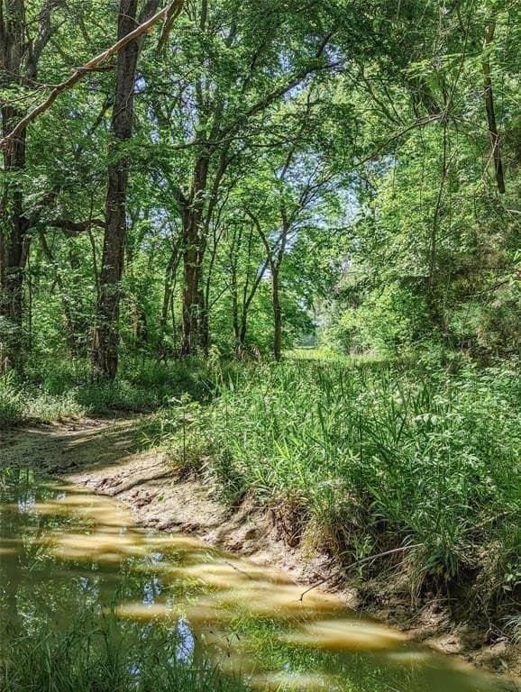 73.56 acres in Henderson County - photo 14