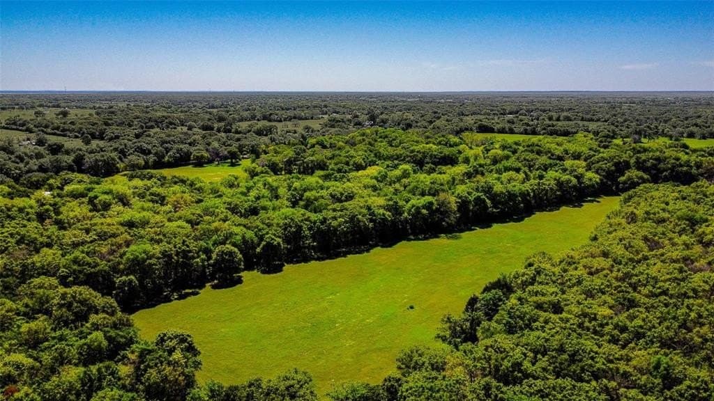 73.56 acres in Henderson County - photo 4