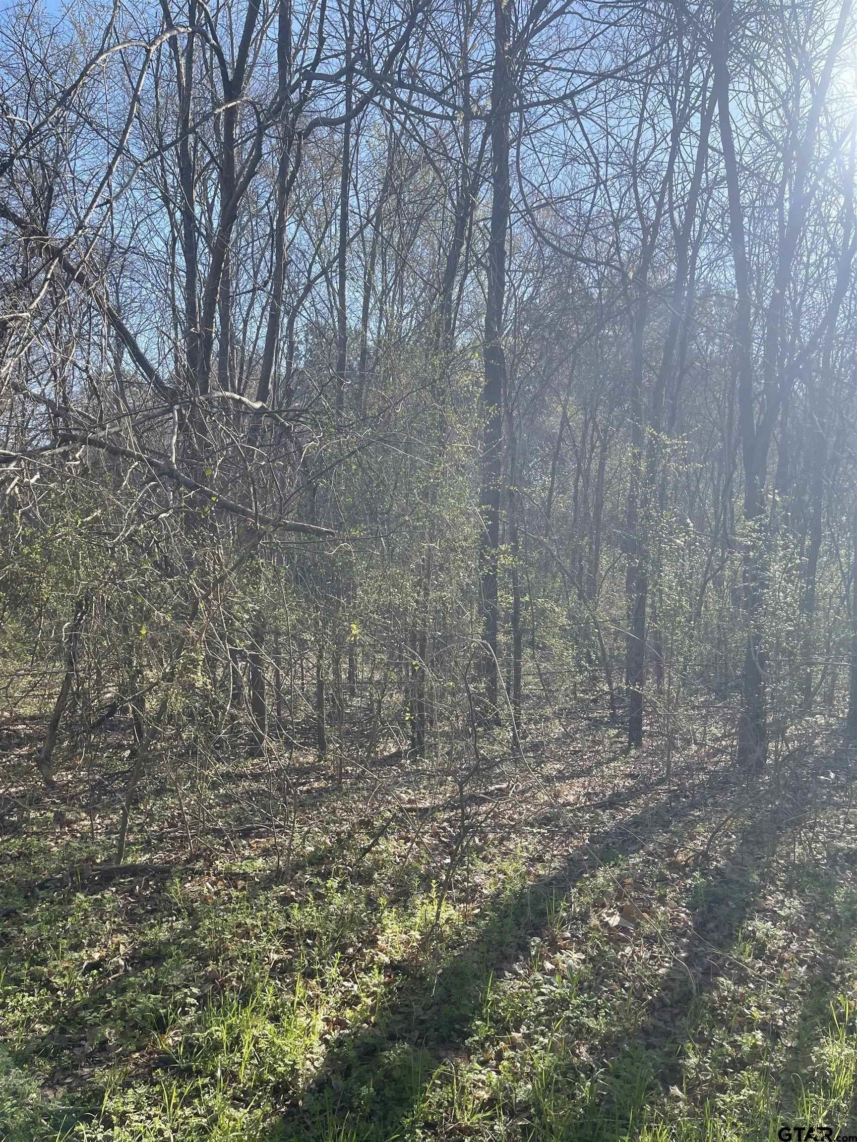 2.39 acres in Smith County - photo 5