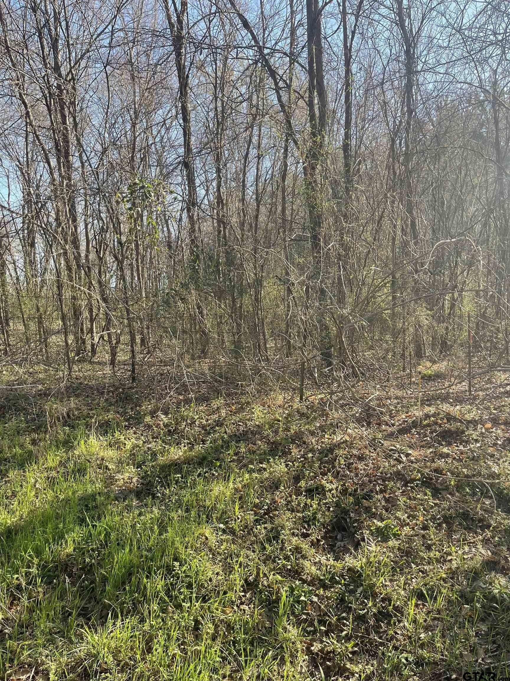 2.39 acres in Smith County - photo 2
