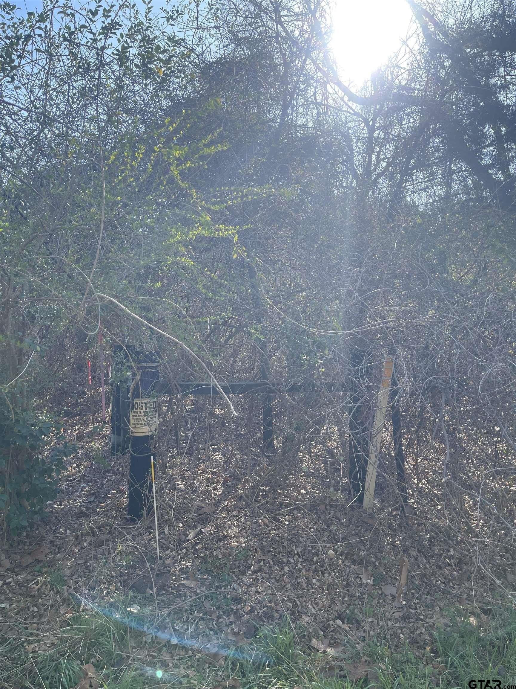 2.39 acres in Smith County - photo 4
