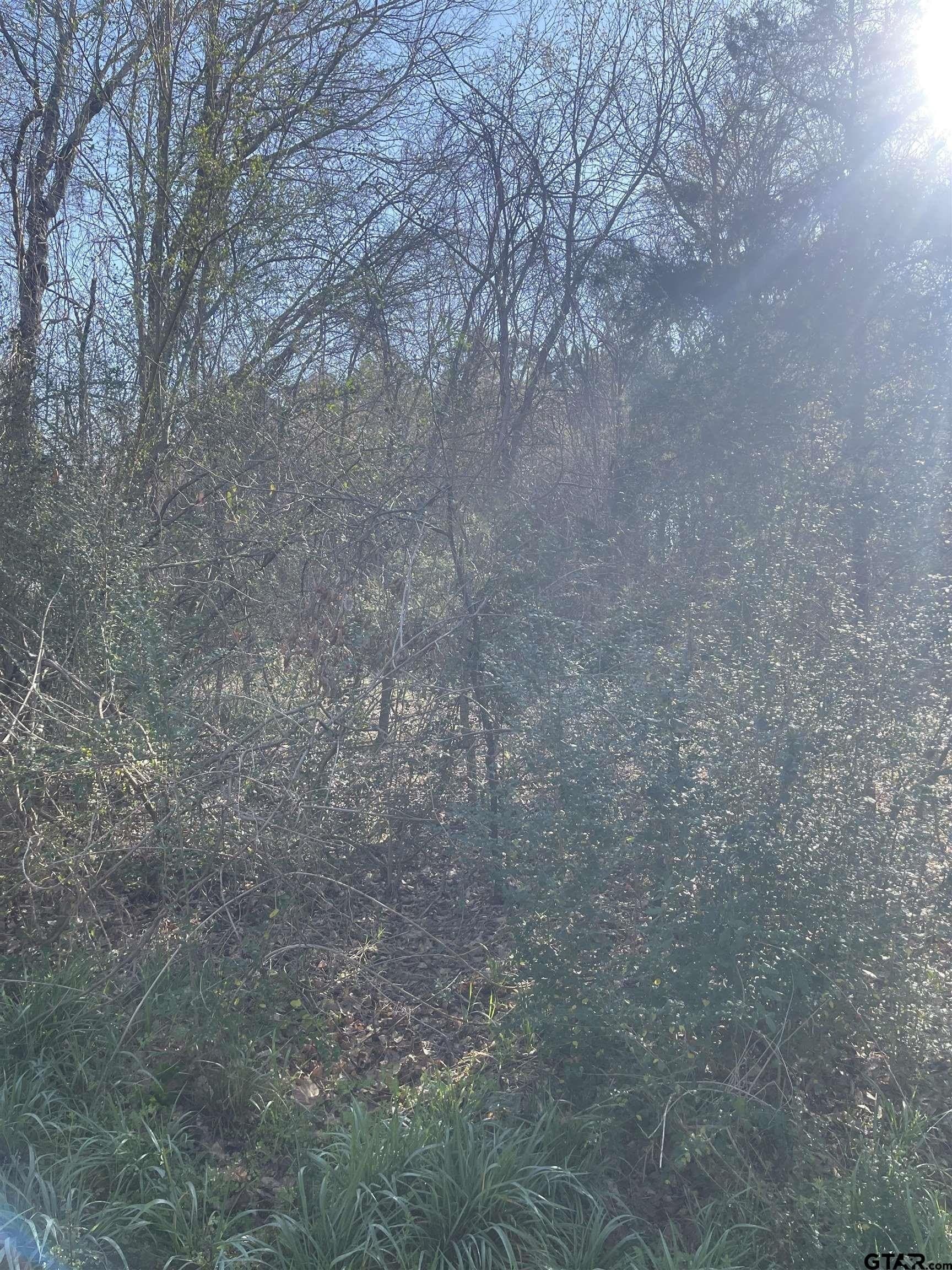 2.39 acres in Smith County - photo 3