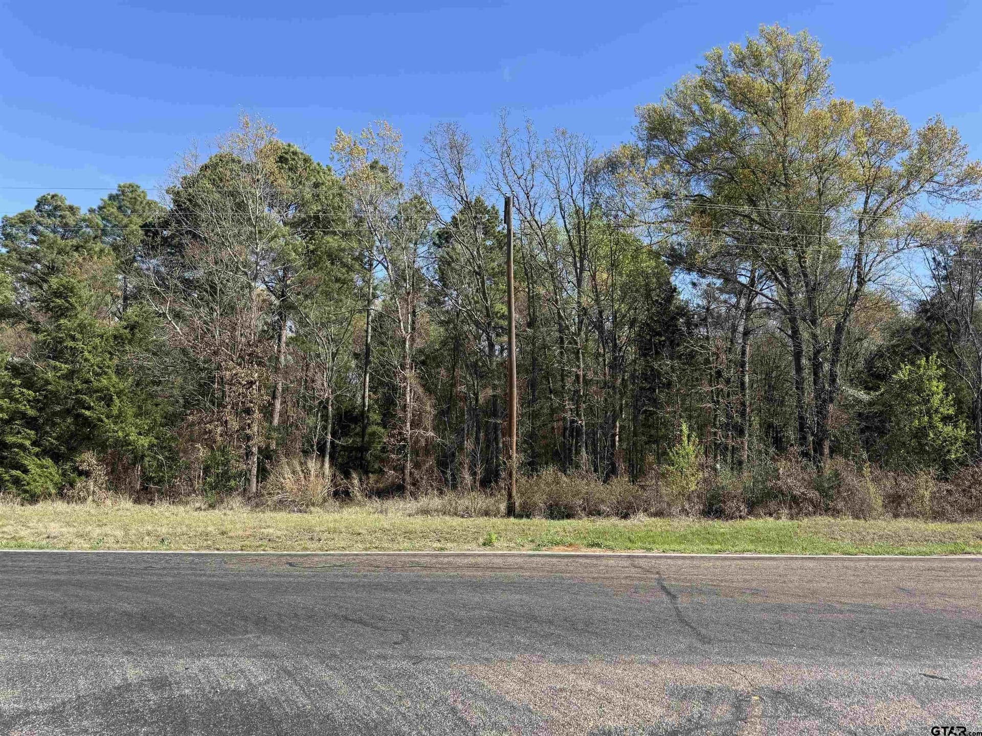 5.3 acres in Wood County - photo 4