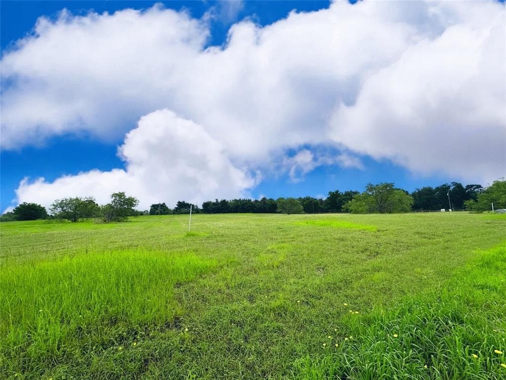 1.01 acres in Navarro County - photo 10
