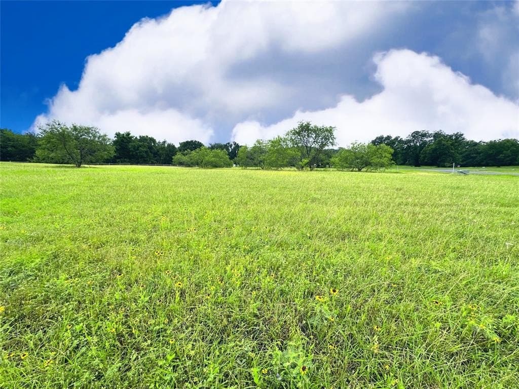 1.01 acres in Navarro County - photo 9