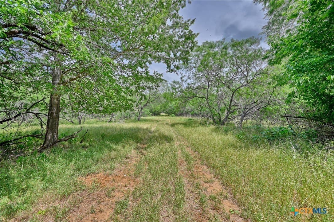 107.46 acres in Bastrop County - photo 4