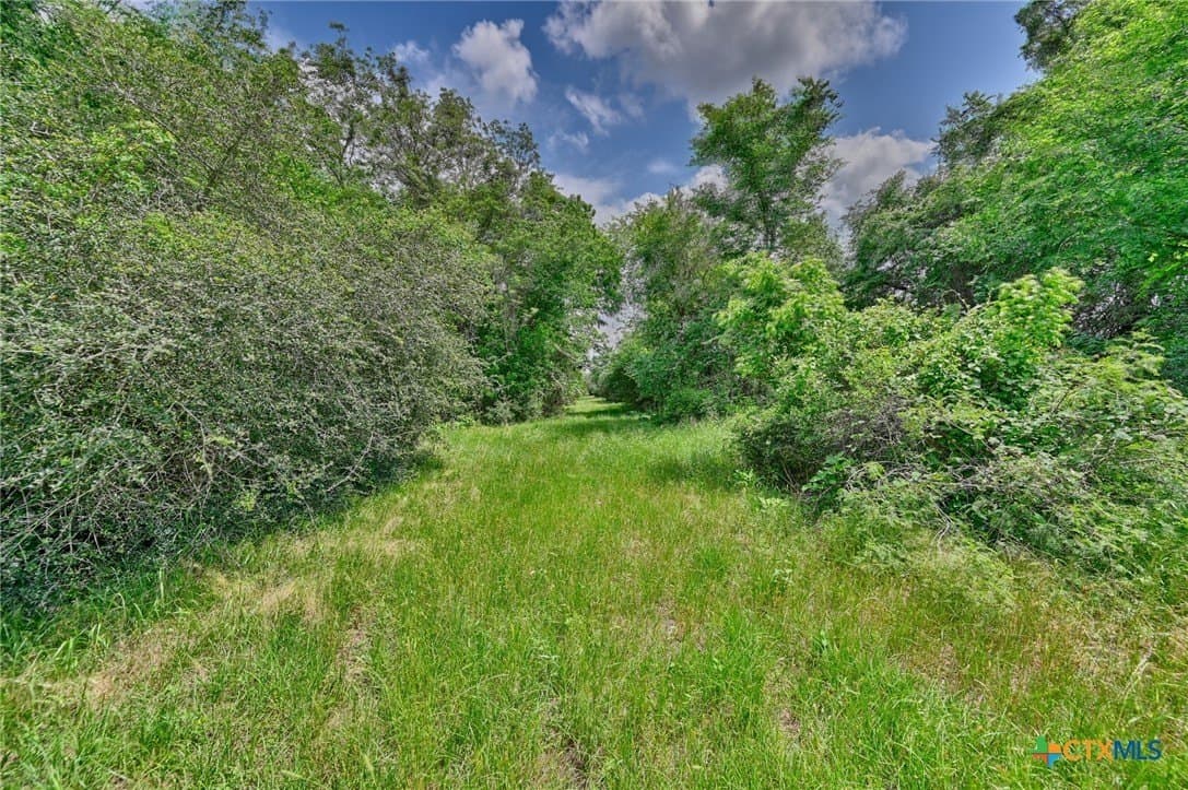 107.46 acres in Bastrop County - photo 5