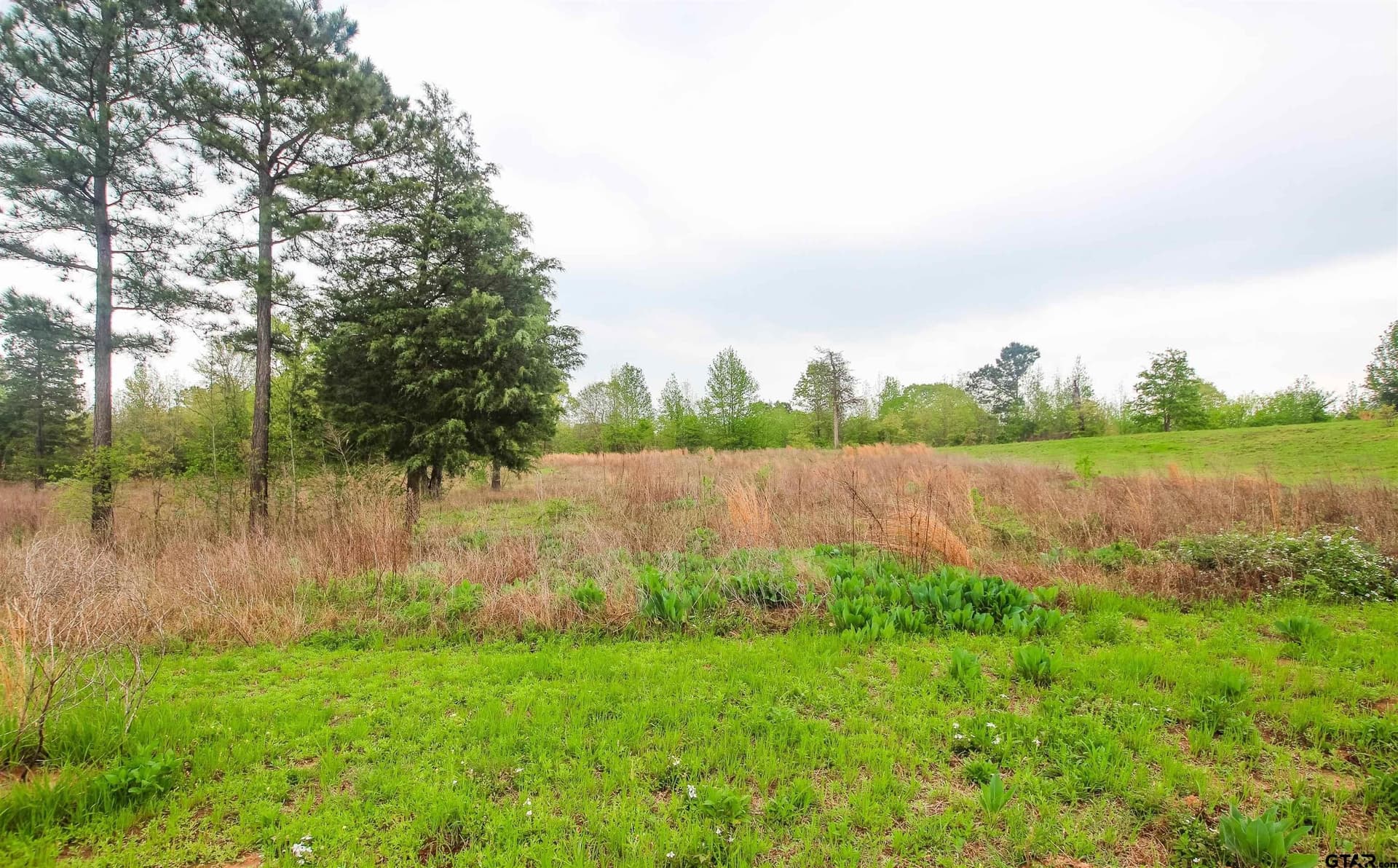 TBD (Lot 36) Ridgeline Loop