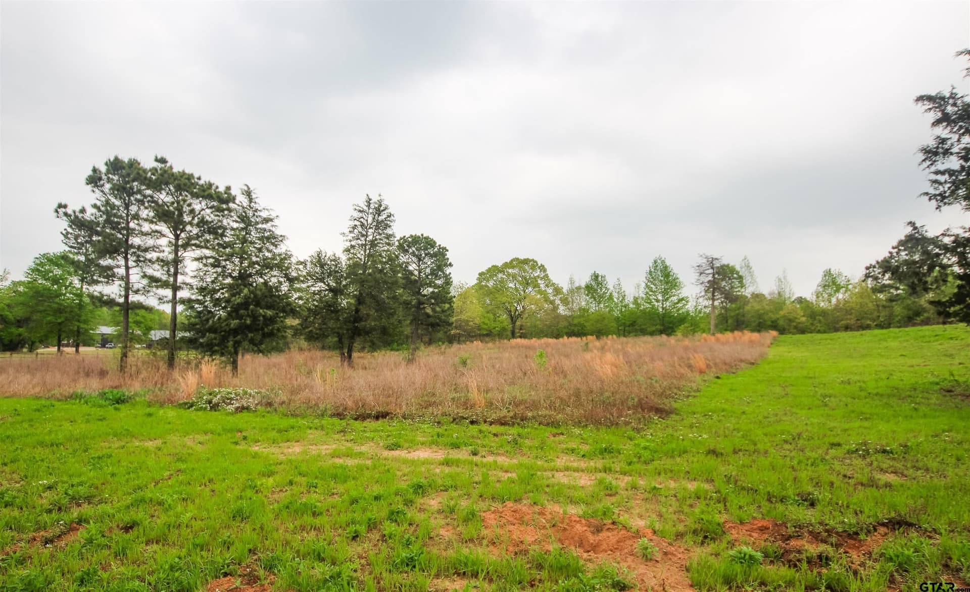 5.2 acres in Smith County - photo 2