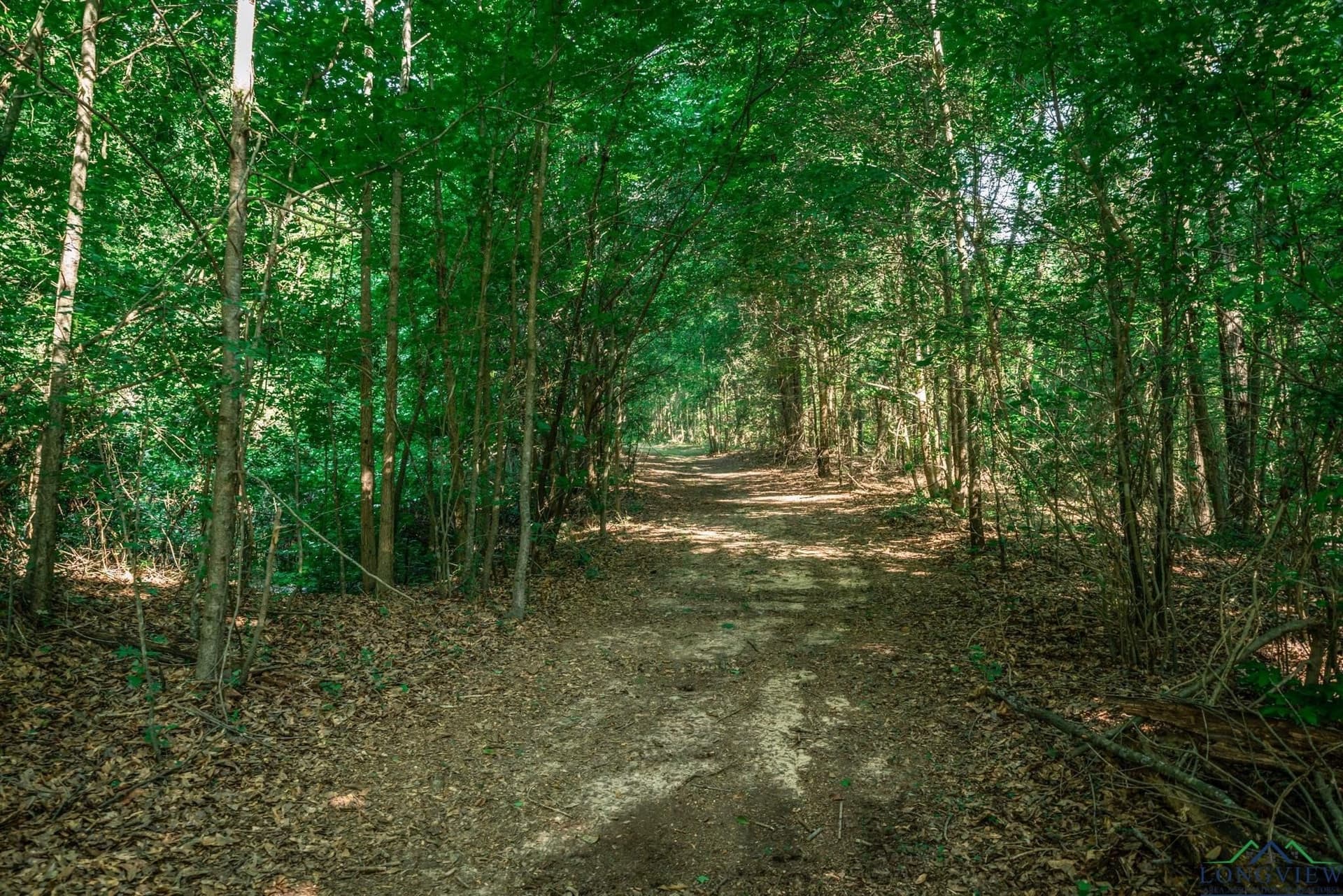 22.06 acres in Gregg County - photo 9