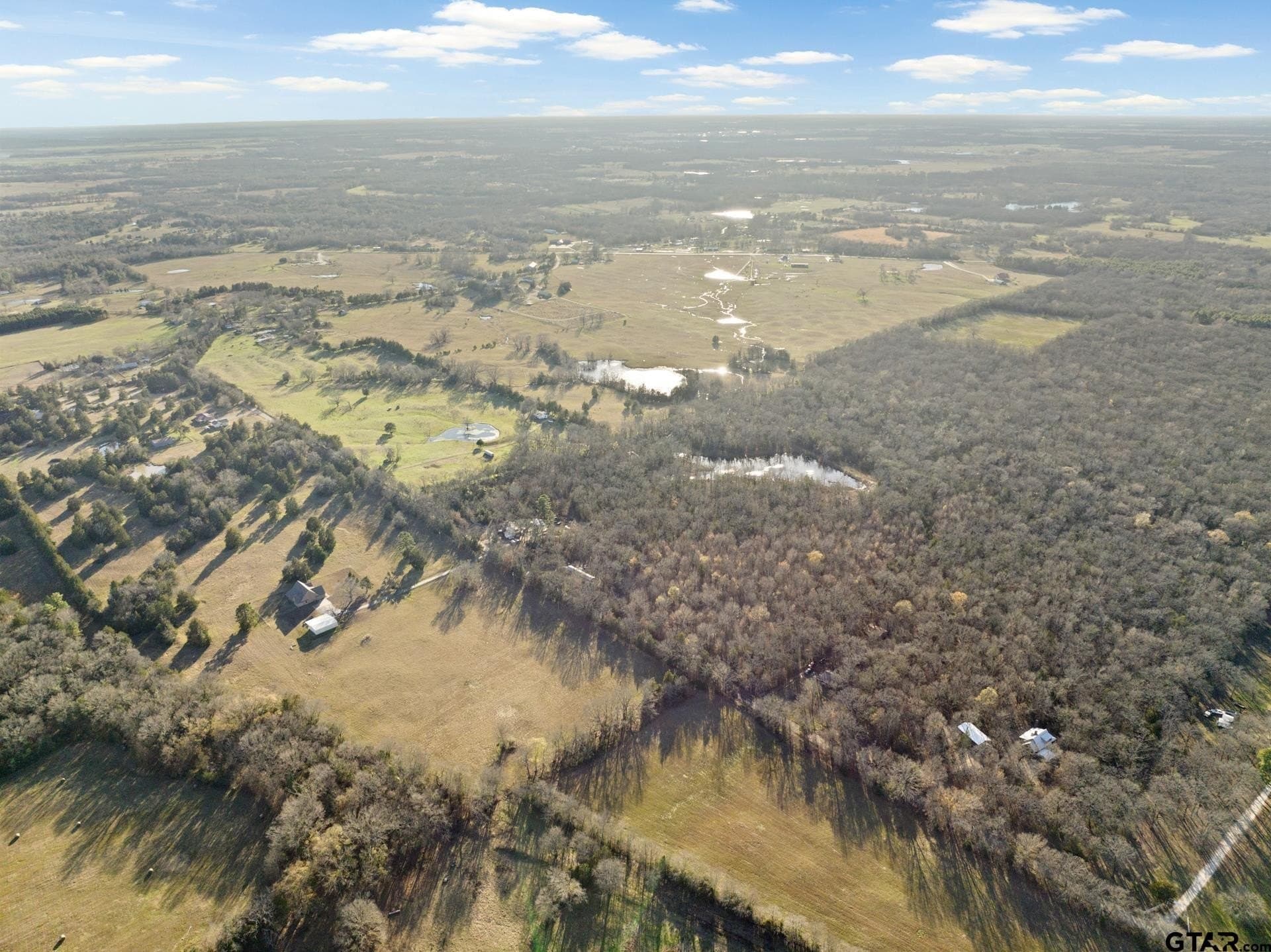 83.46 acres in Titus County - photo 3