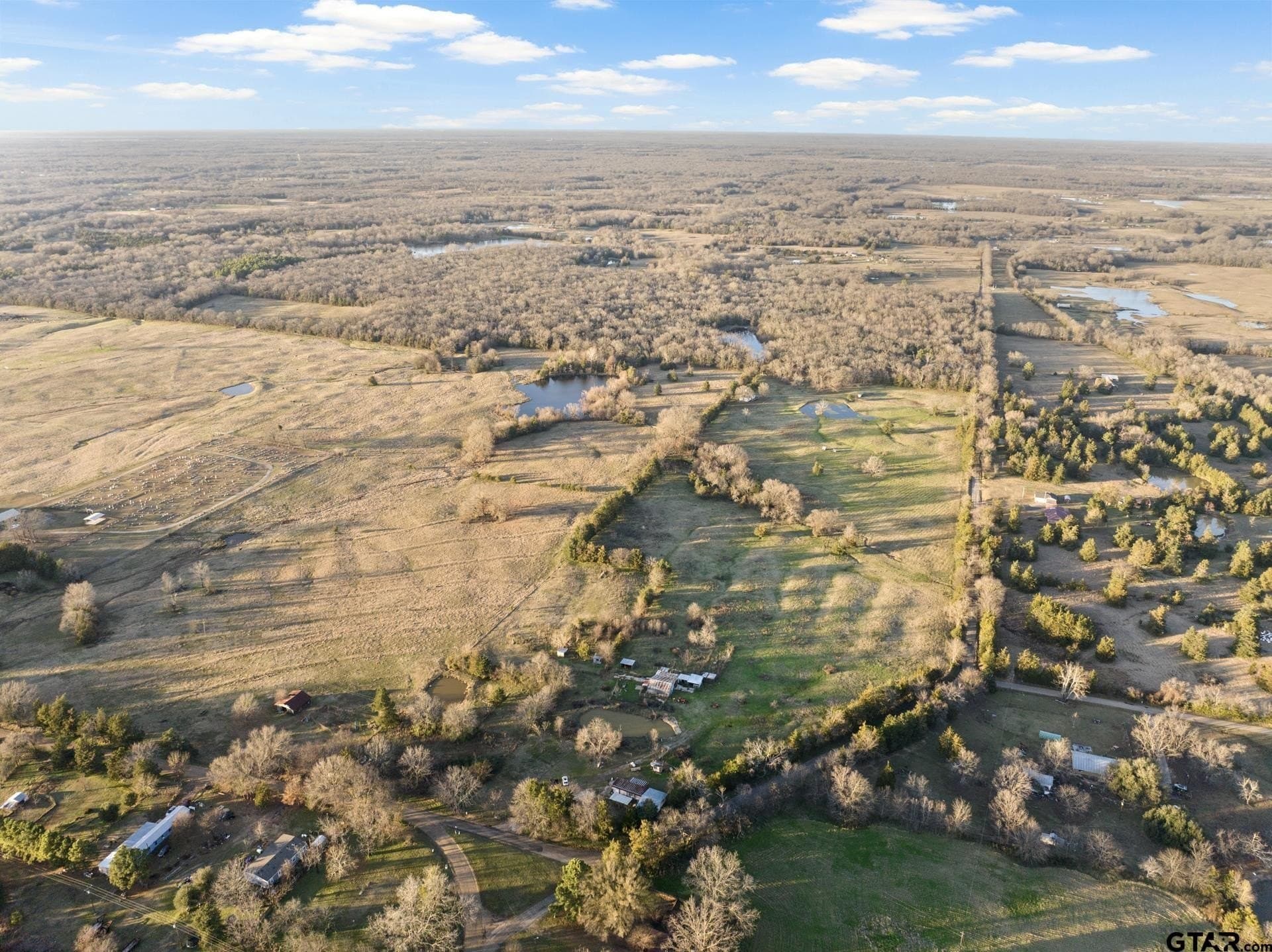 83.46 acres in Titus County - photo 2