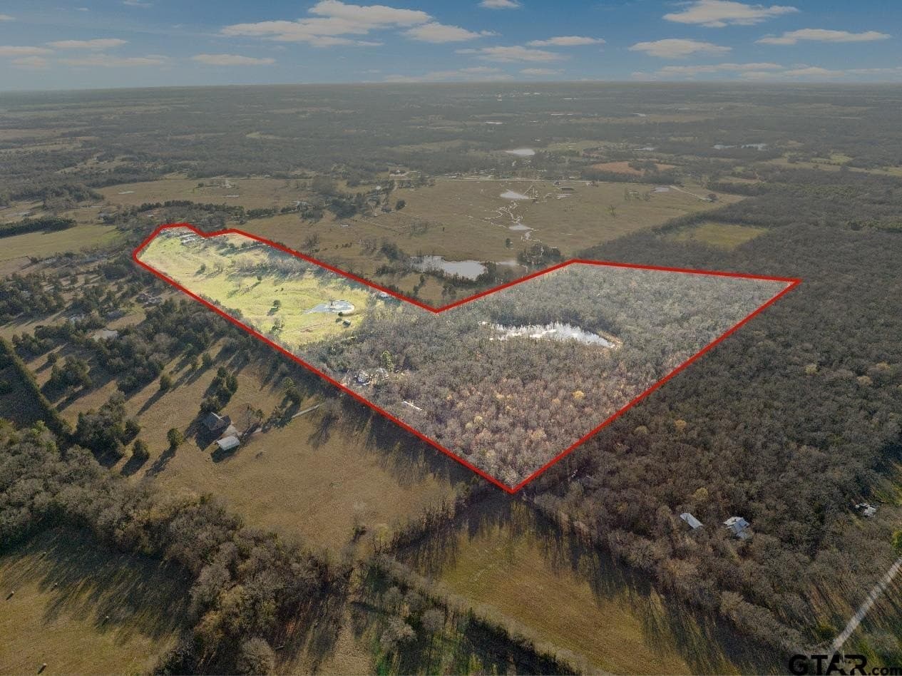 83.46 acres in Titus County - photo 4