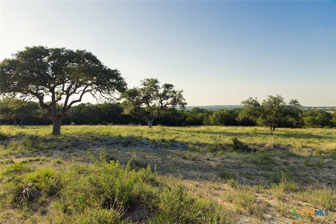 11.5 acres in Blanco County - photo 9