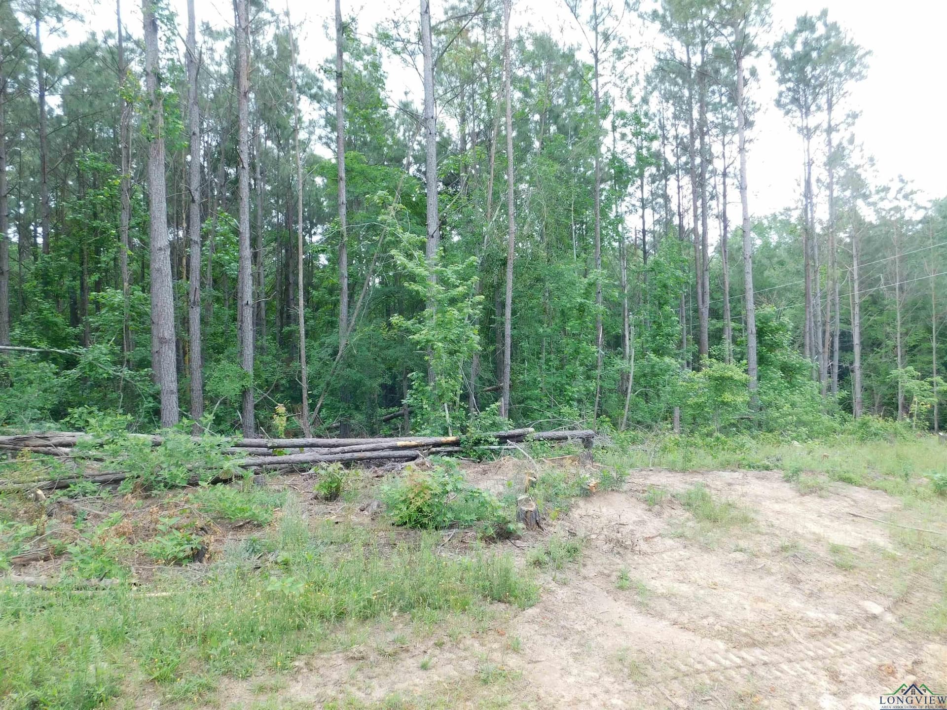 0.71 acres in Texas County - photo 2
