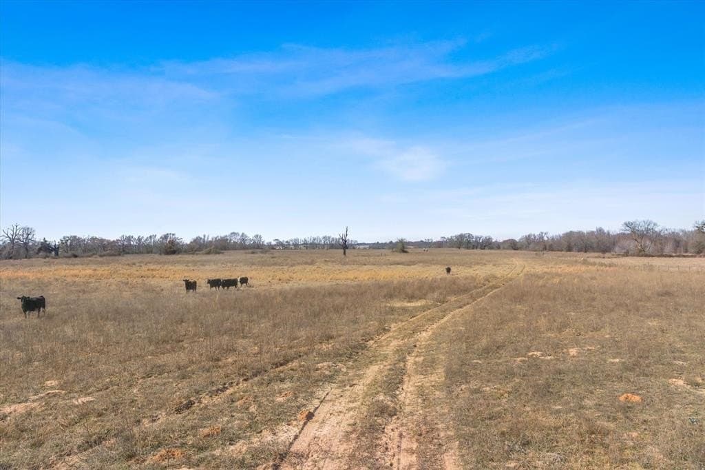 13 acres in Van Zandt County - photo 16