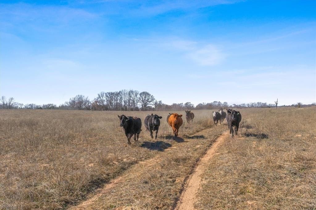 13 acres in Van Zandt County - photo 17