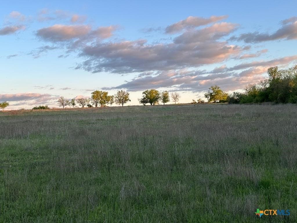 10.01 acres in Coryell County - photo 8