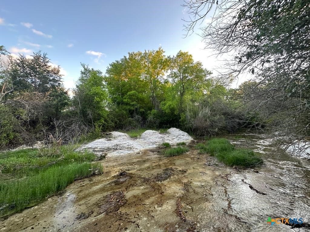 10.01 acres in Coryell County - photo 4
