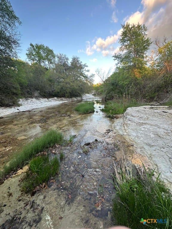 10.01 acres in Coryell County - photo 2