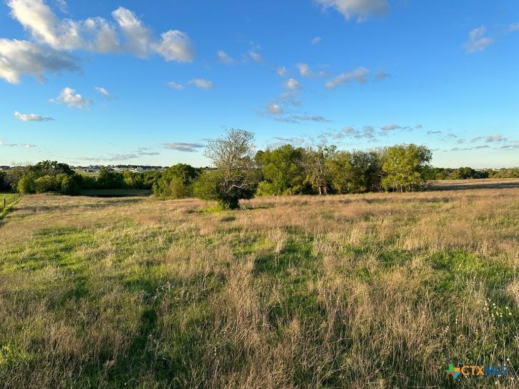 10.01 acres in Coryell County - photo 5